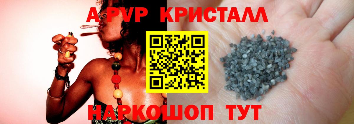 A PVP крисы CK Бийск
