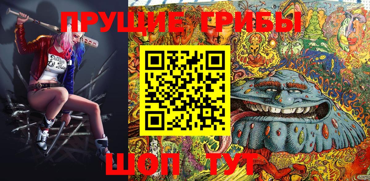 Бийск  Галлюциногенные грибы MAGIC MUSHROOMS  Вход с VPN 