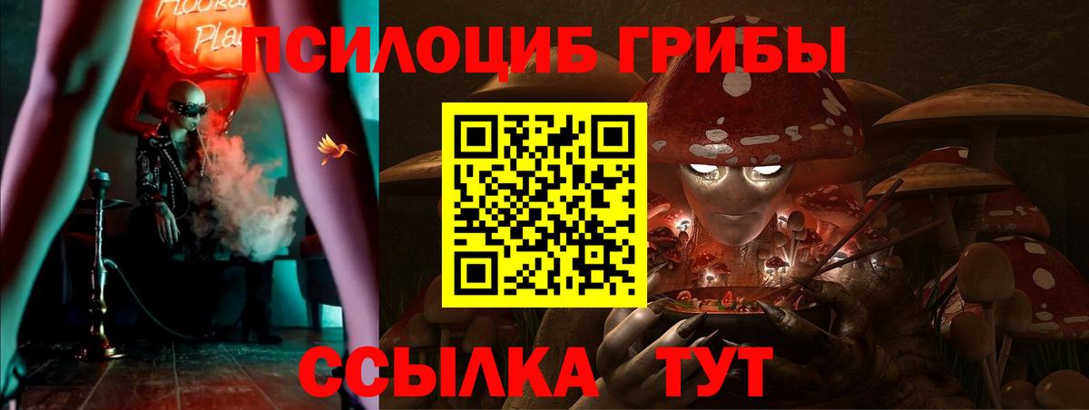 Галлюциногенные грибы мухоморы Бийск